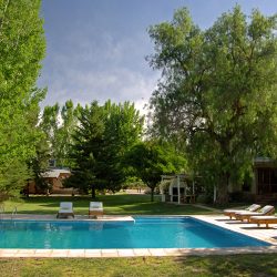 Algodon Life Style – San Rafael – Mendoza