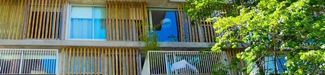 Cercos de bambú para la arquitectura – Edificio ANCON – Bambú Guazú