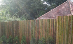 Cercos de caña de bambú para divisiones exteriores – Bambú Guazú