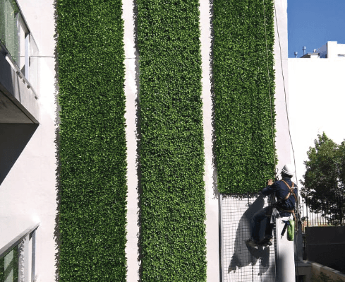 Just Green Just Green