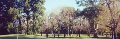 paisajismo