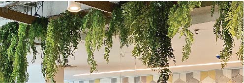 Plantas colgantes artificiales