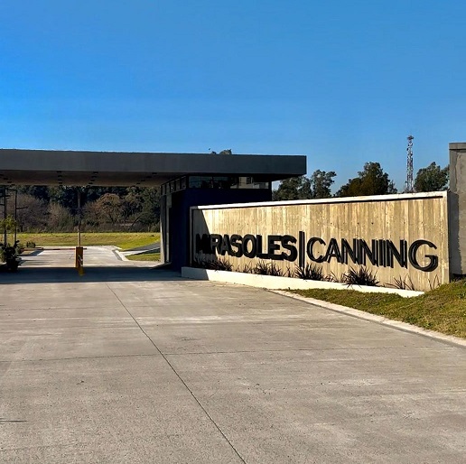 Muestra de diseño