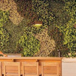 Jardines verticales artificiales – CABA – Just Green